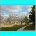Dsc00450.jpg