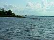 dsc03239.jpg