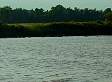 dsc03259.jpg