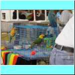 DSC06635.JPG
