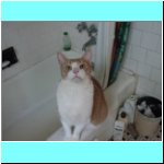 DSC04041.html