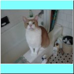 DSC04042.html