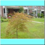 DSC04050.html